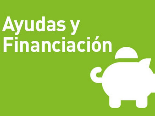 Un Particular Que Dispone De Un Capital Financiero A Concede