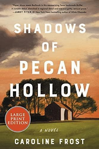 Shadows Of Pecan Hollow: A Novel (libro En Inglés)