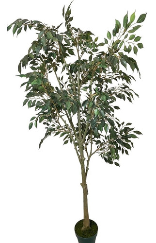 Ficus Hojas Chicas 210cm Artificial