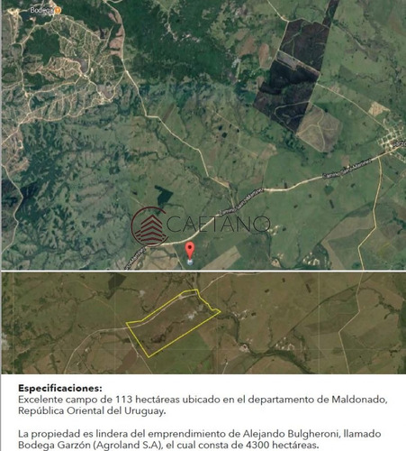 Imagen 4 de 4 de Excelente Campo De 113 Hectáreas Ubicado En Garzón - Garzón