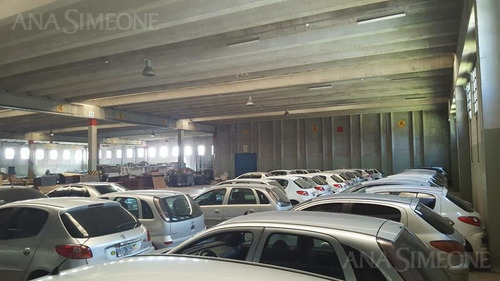 Imagen 11 de 27 de Excepcional Nave Industrial A Mts. De Panamericana