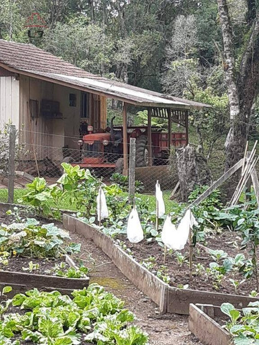 Chácara Com 3 Dormitórios À Venda, 168000 M² Por R$ 12.000.000,00 - Itaqui De Cima - Campo Largo/pr - Ch0015