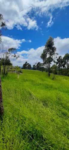 Vende-se Chácaras Em Uma Área Belíssima De 1000²