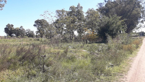 Imagen 9 de 12 de Excelente Lote 300 Mts Venta Mariano Acosta Merlo