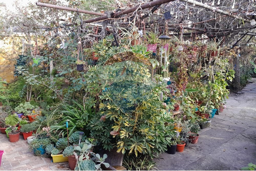 Venta, Terreno, Ñuñoa, 525 Mts2