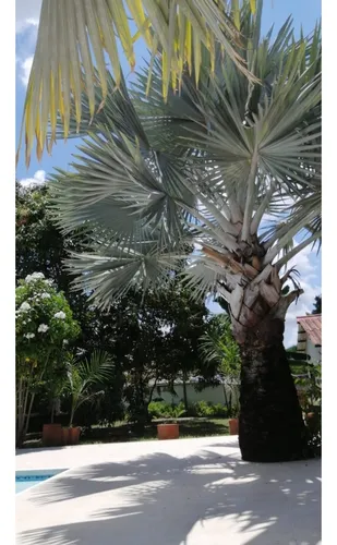 Alquilo Casa Campestre En La Mesa Cundinamarca