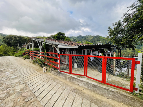 Finca En Venta En San Roque, Antioquia 