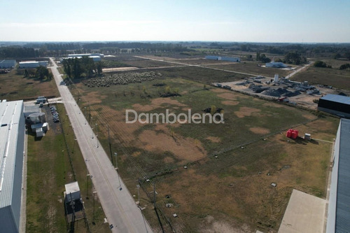 Imagen 5 de 18 de Terreno Fracción En Venta Ubicado En Los Cardales, Exaltación De La Cruz, G.b.a. Zona Norte