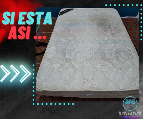 Imagen 2 de 10 de Limpieza Tapizado Limpieza Colchon Limpieza Sillon Auto