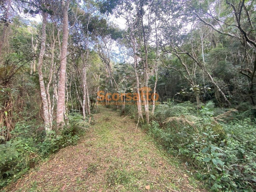 Imagem 11 de 11 de Chácara À Venda, Potuvera, Itapecerica Da Serra/sp. - 5945