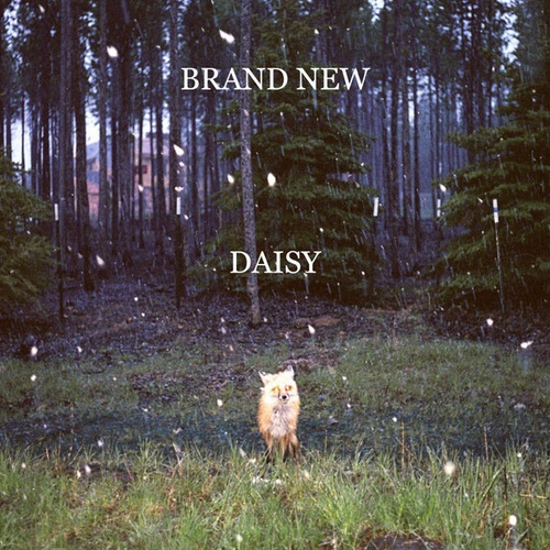 Cd Brand New Daisy Nuevo Y Sellado