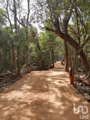 Venta Terreno 0 Ambiente Ciudad Chemuyil