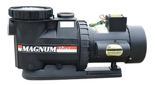 Bomba Para Piscina 3 Hp Magnum
