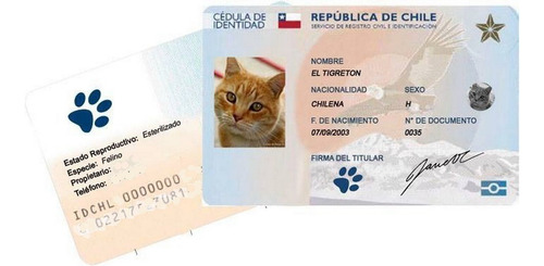 Plantilla Registro Diseño Carnet Chileno, Mascotas