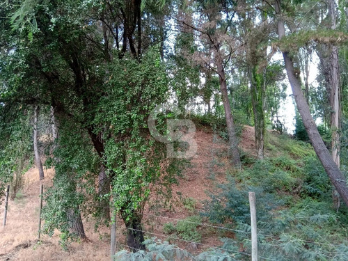 Parcela En Venta  Quillón, Sector Manque Sur
