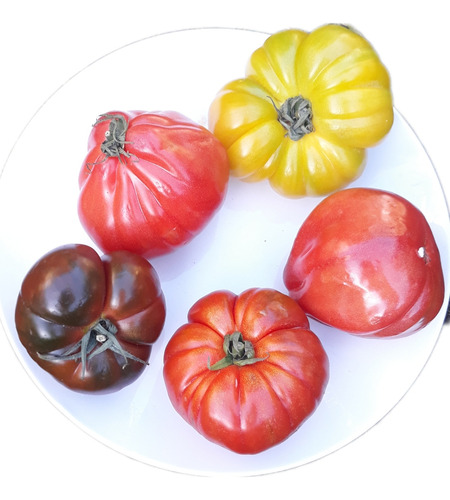 Semillas De Tomates Mix 40 Ud Premium Huerta !