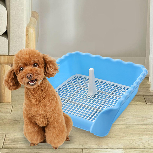Bandeja De Baño De Entrenamiento Para Gatos Y Azul Pequeño