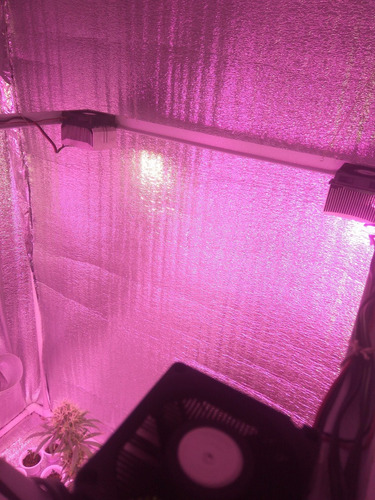 Grow Led Full Spectrum Y Luz Cálida 300w Todo El País (Reacondicionado)