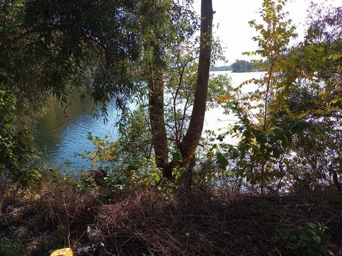 Imagen 4 de 6 de Venta De Terreno Frente Al Lago Inv079