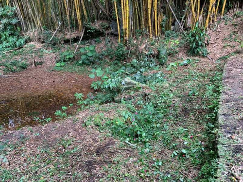 Imagem 1 de 6 de Excelente Chácara Próximo Ao Centro De Mogi Das Cruzes - Bich00001