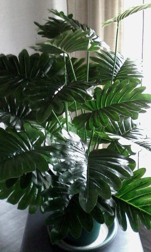 Imagen 3 de 10 de Aralia 18 Hojas 70 Cm - Plantas De Interior Artificiales