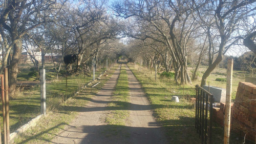 Imagen 12 de 13 de Campo De 6.8 Has En Punta Indio
