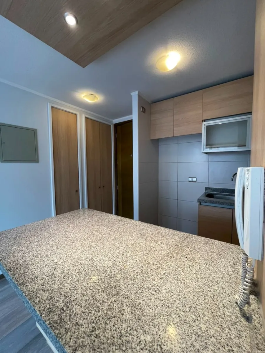 Imagen 3 de 15 de Departamento En Arriendo De Dormitorio Santiago Ñuble