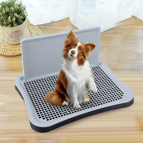 Inodoro For Perros Con Columna Urinaria Bandeja For Orinal