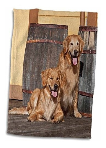 3d Rose Two Golden Retriever Dogs-na02 Zmu0156-zandria Muenc