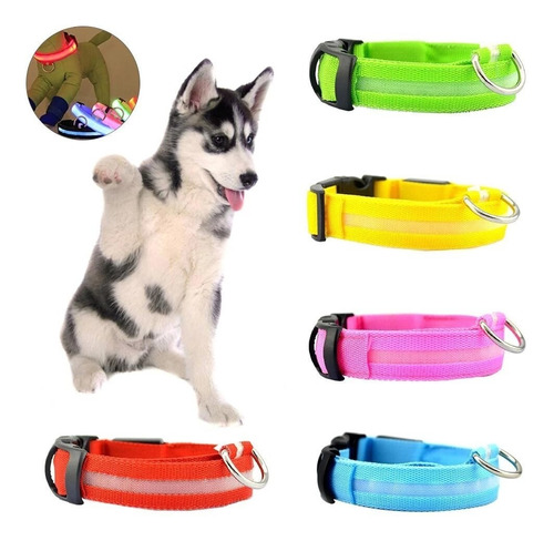 Collar Para Perros Con Luces Led Grandes Chicos Res. Lluvia