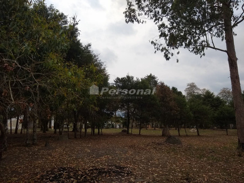 Imagem 9 de 13 de Àrea Em Poco Grande - Tremembé - 936