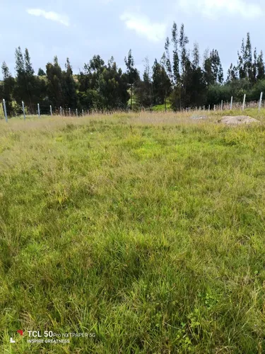 Lote En Nemocón