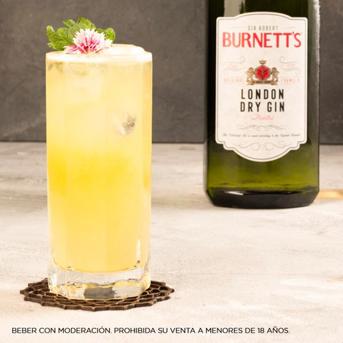 Gin Sir Robert Burnett´s + Estuche Mixologia Botanica Kaia