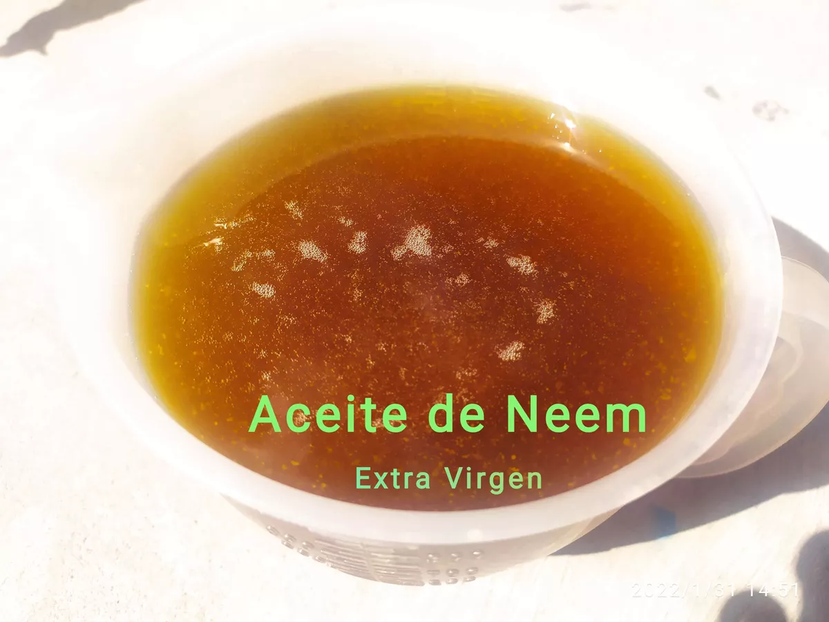 Tercera imagen para búsqueda de aceite de neem