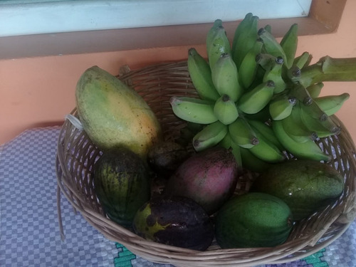 Imagem 26 de 28 de Sítio À Venda, 5 Quartos, 2 Suítes, 4 Vagas, Centro - São Roque/sp - 2308