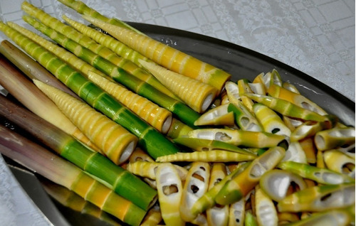 Bambu 100 Gr Folhas