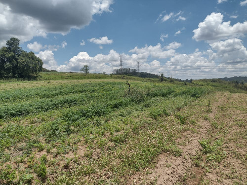Imagem 15 de 30 de 20o Terreno Para Venda 1000m Em Cotia