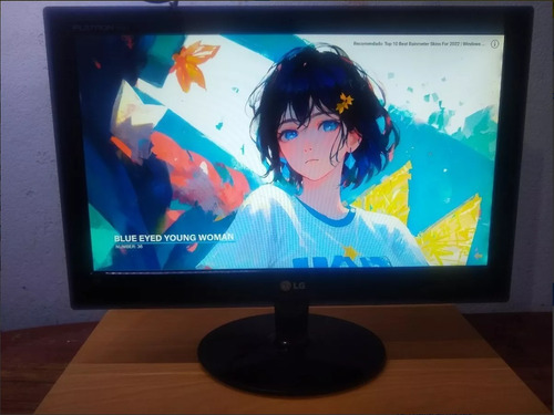 Monitor De 20 Pulgadas Led Marca LG