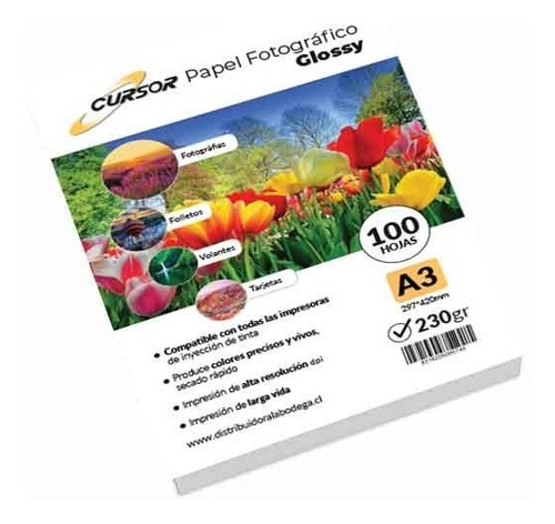 Papel Fotográfico Glossy A3 230 Gr Pack 100 Hojas Cursor