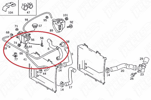 Mangueira Do Radiador Mercedes C280 1997-2001 Original