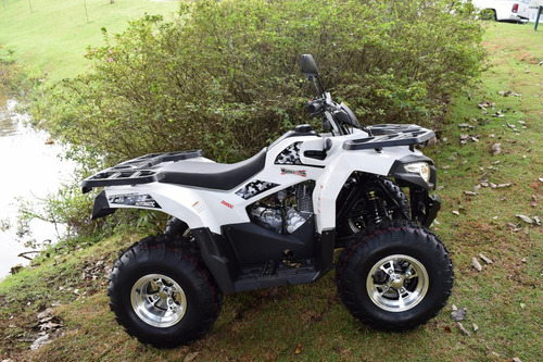Quadriciclo 200cc 4x2 Câmbio Cvt Automático Buggy&cia