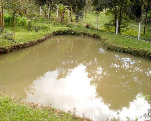 Imagem 19 de 28 de Chácara Bem Localizada À Venda Em São Lourenço Da Serra-sp! - 183 - 32982519