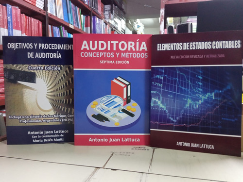 Combo Auditoria Conceptos + Objetivos + Elementos Lattuca