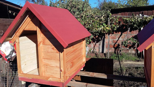 Casitas Para Perros Tipo Mediano Grande Siberiano