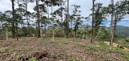 Lote En Venta Ubicado En El Retiro Sector Don Diego (26671).