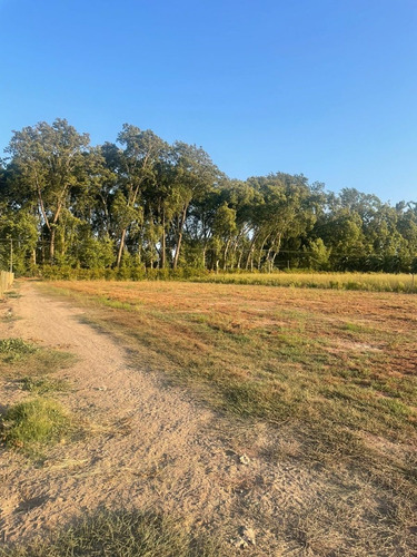 Imagen 30 de 30 de Parcela 19.000 M2 Con Casa Y Bodegas En Idahue Coltauco
