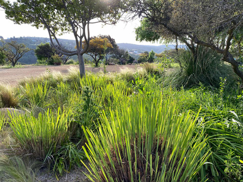 Exclusiva Parcela Con Acceso Privado A Embalse Los Aromos