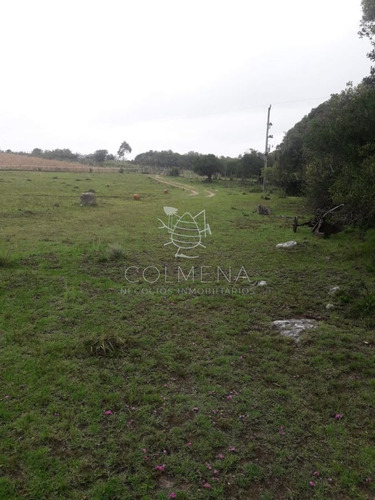 Imagen 12 de 17 de Campo De 15 Has - Consulte !!!!!! - Las Cañas