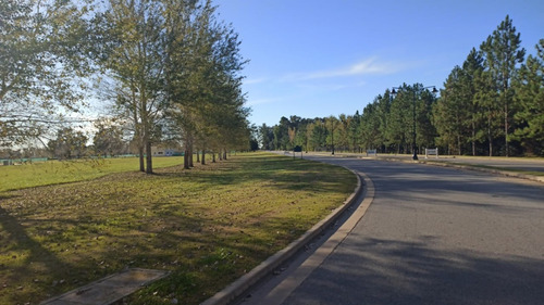 Oportunidad - Lote En Barrio La Reserva Escondida , Area 60, Sup. 2478 M2, Enorme. (como Si Fueran 4 Lotes De 600 M2, Pero Es Uno Solo)