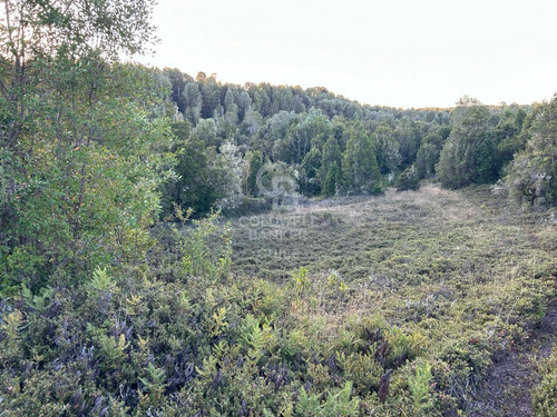 Parcela A Orilla De Rio Con 8000mtr2 C/u